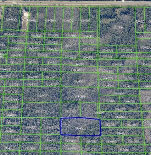 DILL ROAD CHRISTMAS FL 32709