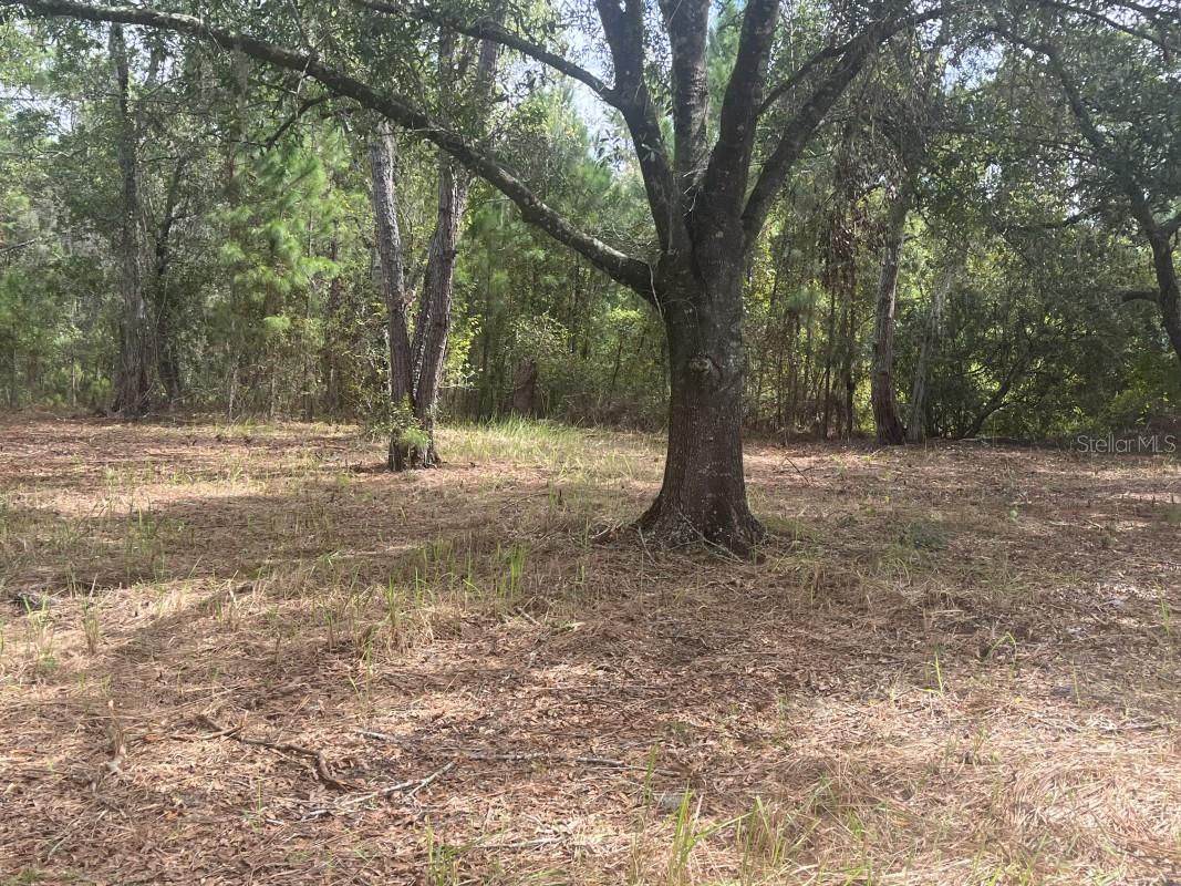 BUCKHILL - Residential