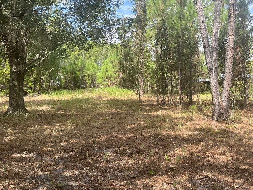 BUCKHILL - Residential