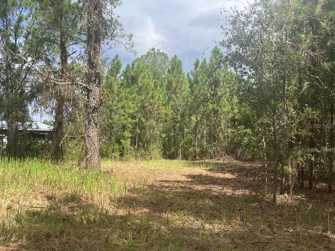 BUCKHILL - Residential