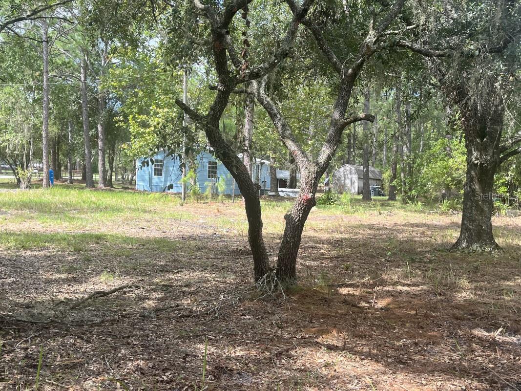 BUCKHILL - Residential