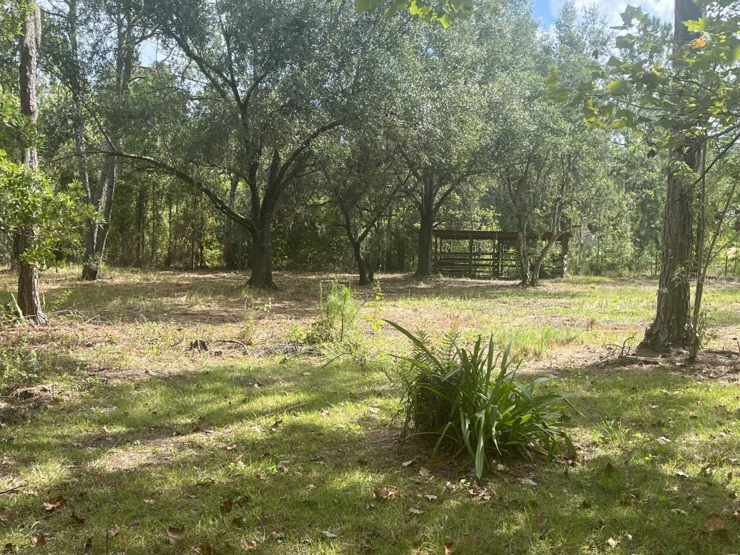 BUCKHILL - Residential