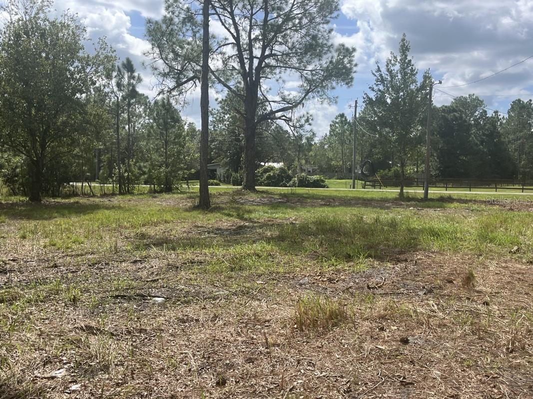 BUCKHILL - Residential