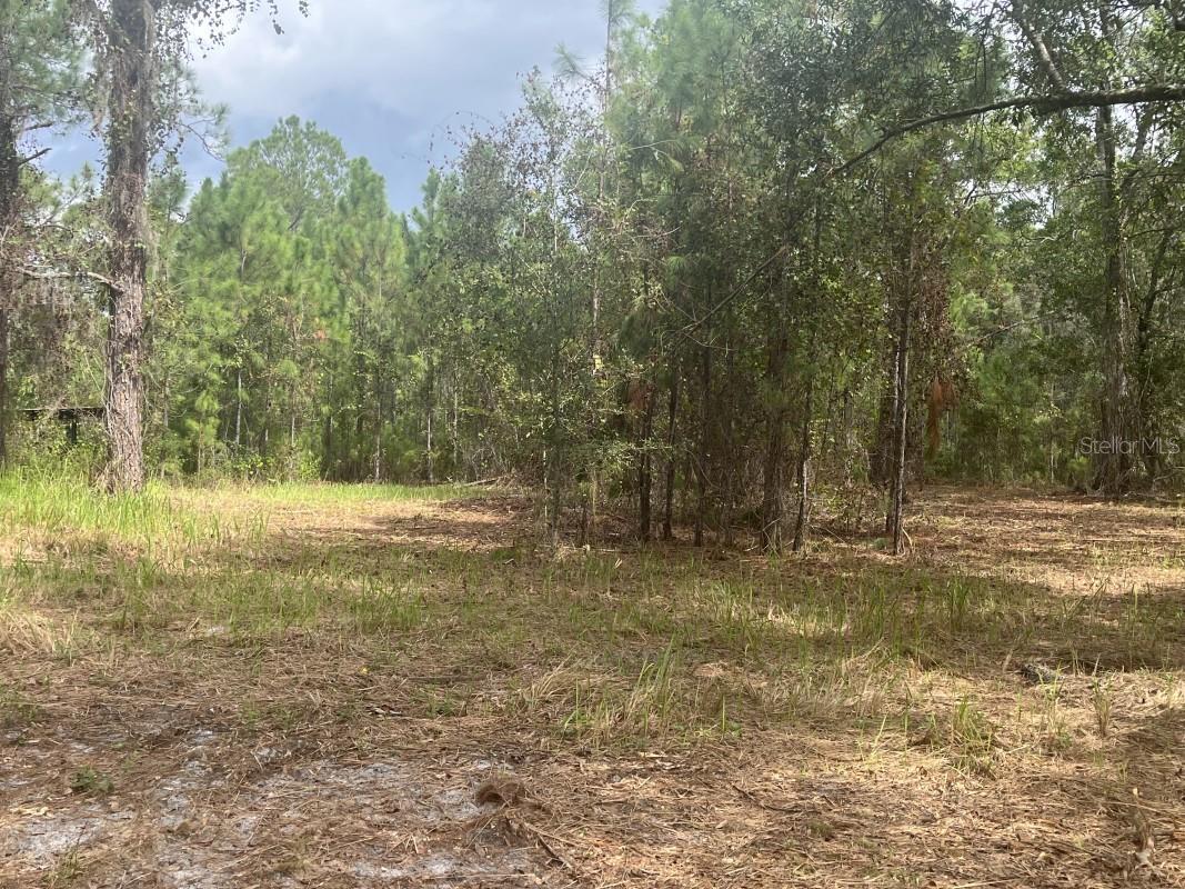 BUCKHILL - Residential