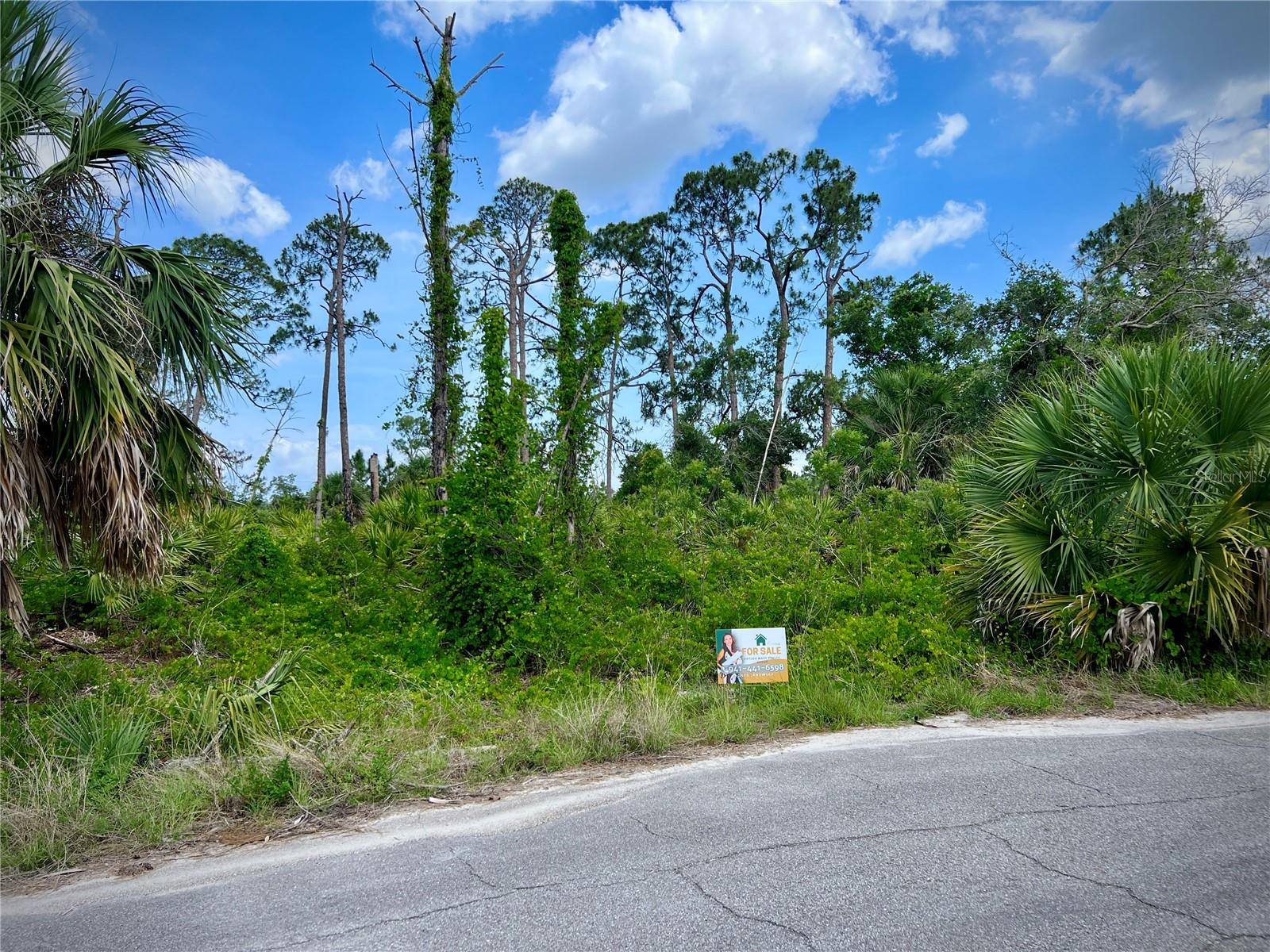 PORT CHARLOTTE SUB 51 - Land