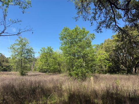 Tiny photo for 650 NE 200th Avenue, Williston, FL 32696 (MLS # O6403664)