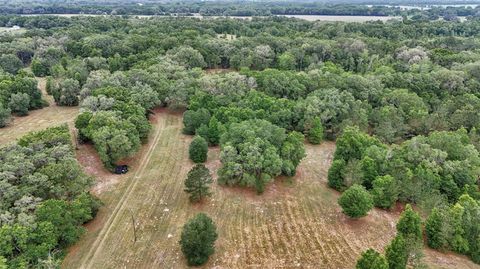 Tiny photo for 650 NE 200th Avenue, Williston, FL 32696 (MLS # O6403664)