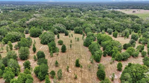 Tiny photo for 650 NE 200th Avenue, Williston, FL 32696 (MLS # O6403664)