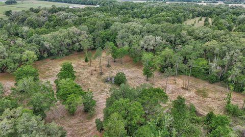 Tiny photo for 650 NE 200th Avenue, Williston, FL 32696 (MLS # O6403664)