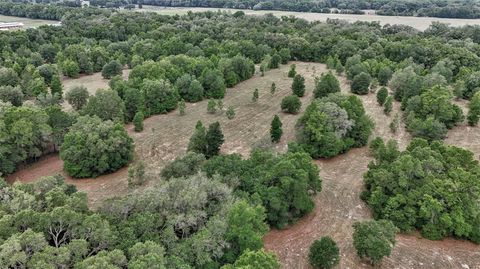 Tiny photo for 650 NE 200th Avenue, Williston, FL 32696 (MLS # O6403664)