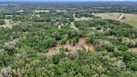 Tiny photo for 650 NE 200th Avenue, Williston, FL 32696 (MLS # O6403664)