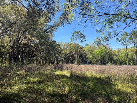 Tiny photo for 650 NE 200th Avenue, Williston, FL 32696 (MLS # O6403664)