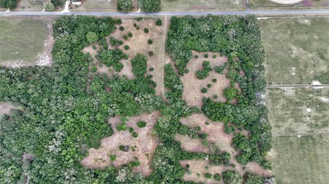Tiny photo for 650 NE 200th Avenue, Williston, FL 32696 (MLS # O6403664)