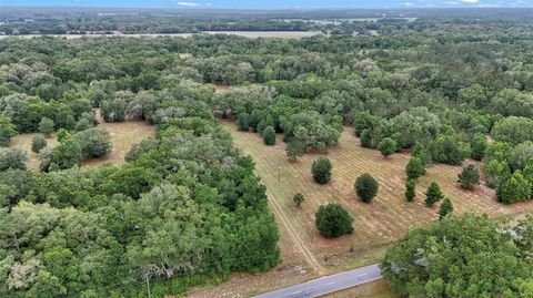 Tiny photo for 650 NE 200th Avenue, Williston, FL 32696 (MLS # O6403664)