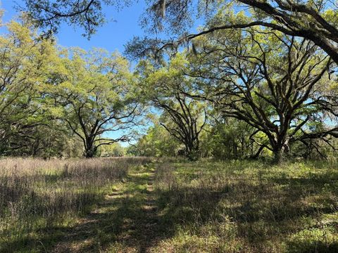 Tiny photo for 650 NE 200th Avenue, Williston, FL 32696 (MLS # O6403664)