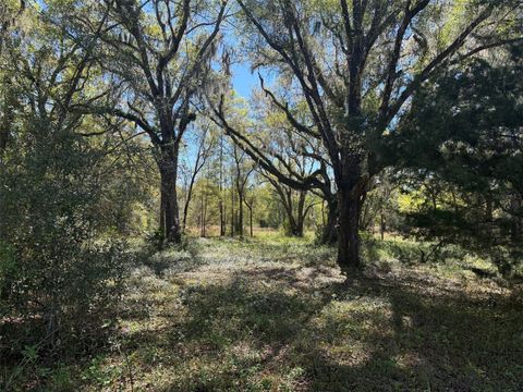 Tiny photo for 650 NE 200th Avenue, Williston, FL 32696 (MLS # O6403664)