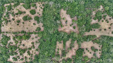 Tiny photo for 650 NE 200th Avenue, Williston, FL 32696 (MLS # O6403664)
