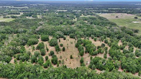 Tiny photo for 650 NE 200th Avenue, Williston, FL 32696 (MLS # O6403664)