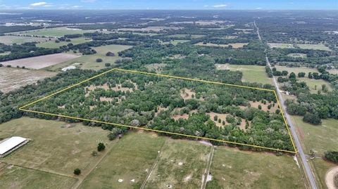 Photo of 650 NE 200th Avenue, Williston, FL 32696 (MLS # O6403664)