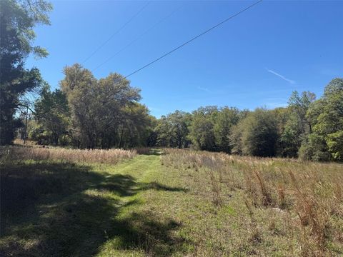 Tiny photo for 650 NE 200th Avenue, Williston, FL 32696 (MLS # O6403664)