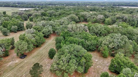 Tiny photo for 650 NE 200th Avenue, Williston, FL 32696 (MLS # O6403664)