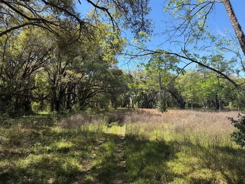 Tiny photo for 650 NE 200th Avenue, Williston, FL 32696 (MLS # O6403664)
