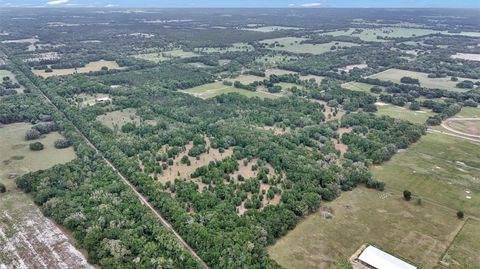 Tiny photo for 650 NE 200th Avenue, Williston, FL 32696 (MLS # O6403664)