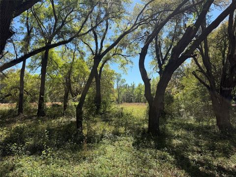Tiny photo for 650 NE 200th Avenue, Williston, FL 32696 (MLS # O6403664)