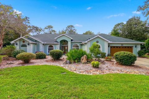 Photo of 24 Livingstone Daisy Court, Homosassa, FL 34446 (MLS # OM712451)