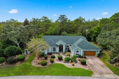24 LIVINGSTONE DAISY COURT HOMOSASSA FL 34446