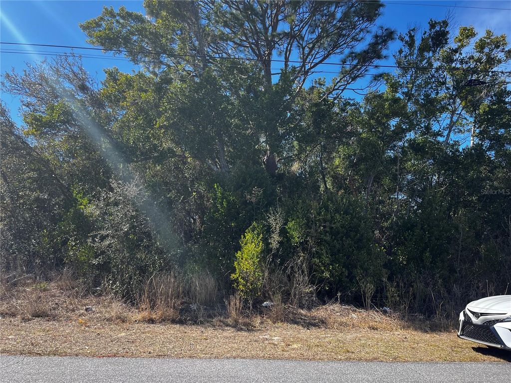 Photo of 2293 Marietta Avenue, Spring Hill, FL 34608 (MLS # W7883093)