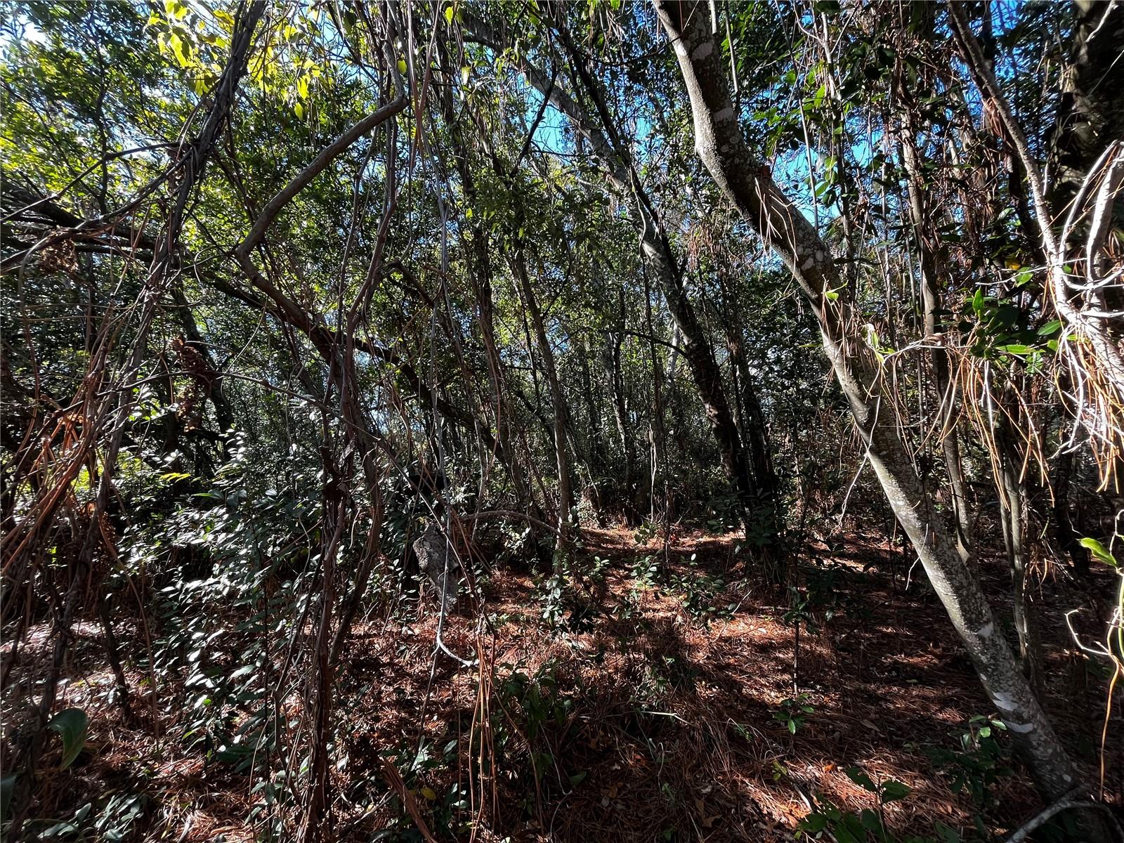 2293 MARIETTA AVENUE