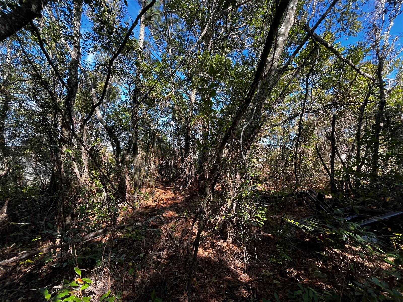 2293 MARIETTA AVENUE