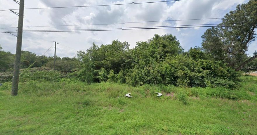 Build your dream house on this beautiful high and dry corner lot 0.46 acres nestled away in desirable Summerfield. Perfect location if you want to be away from it all but still close everything. No deed restrictions or HOA. Minutes from Ocala, The villages, and Belleview for restaurants, work, and entertainment. Just 30 minutes from the World Equestrian Center.  Surrounded by plenty of boating, fishing and other water-based activities, with many nearby boat ramps and access to Lake Weir.  Also, only an hour away from the Gulf of Mexico with many great white sand beaches.