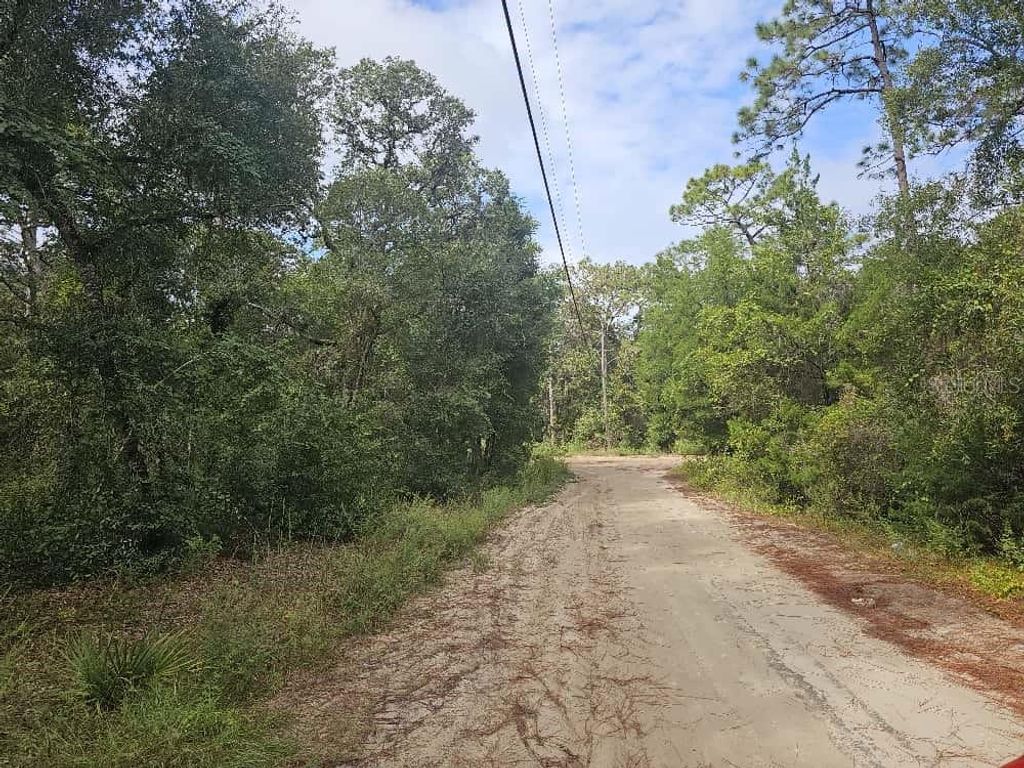 Photo of SE 92nd Place, Ocklawaha, FL 32179 (MLS # OM710933)