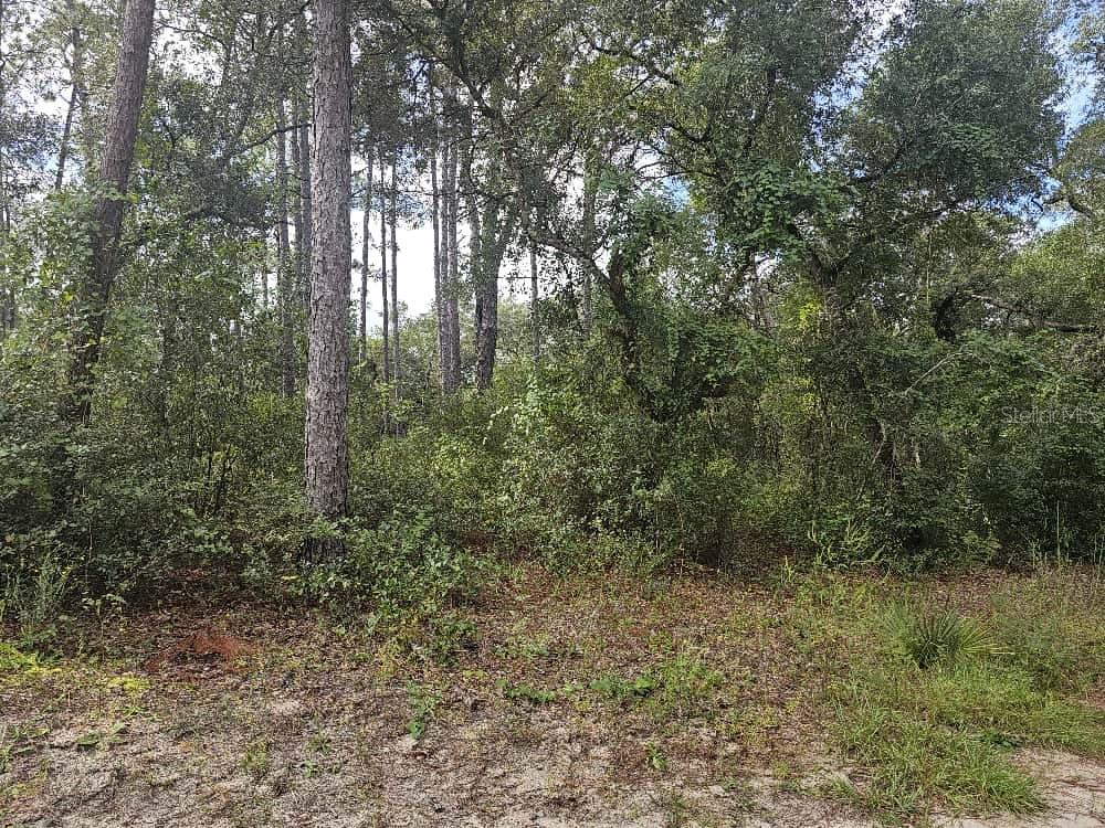 FRST LAKES PARK - Land