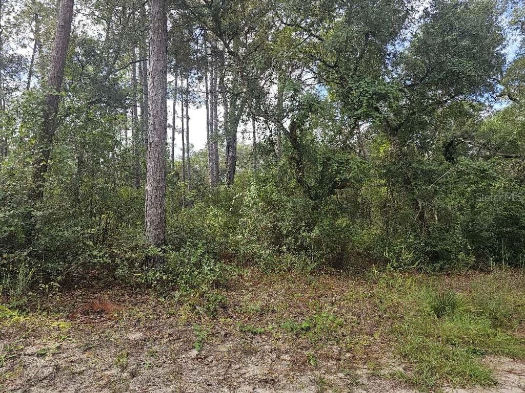 Photo of SE 92nd Place, Ocklawaha, FL 32179 (MLS # OM710933)