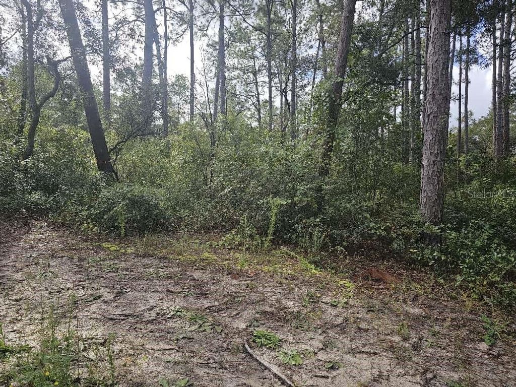 Photo of SE 92nd Place, Ocklawaha, FL 32179 (MLS # OM710933)