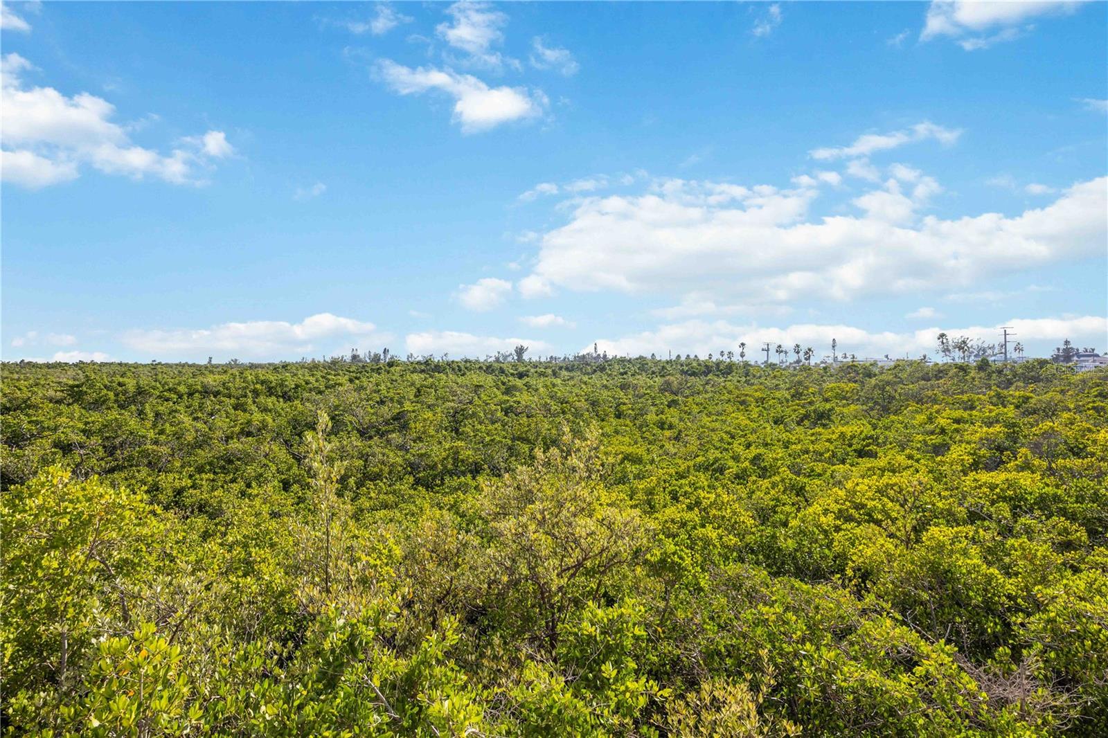 SANDY POINTE II - Residential Lease