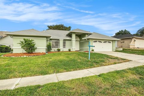 Photo of 1247 Venetia Drive, Spring Hill, FL 34608 (MLS # TB8433744)