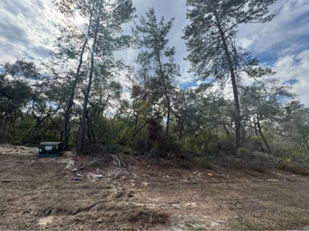 Photo of 0 SW 25th Court, Ocala, FL 34473 (MLS # OM716131)