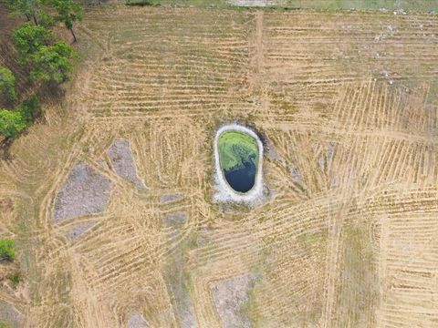 Tiny photo for County Road 469, Center Hill, FL 33514 (MLS # S5146884)