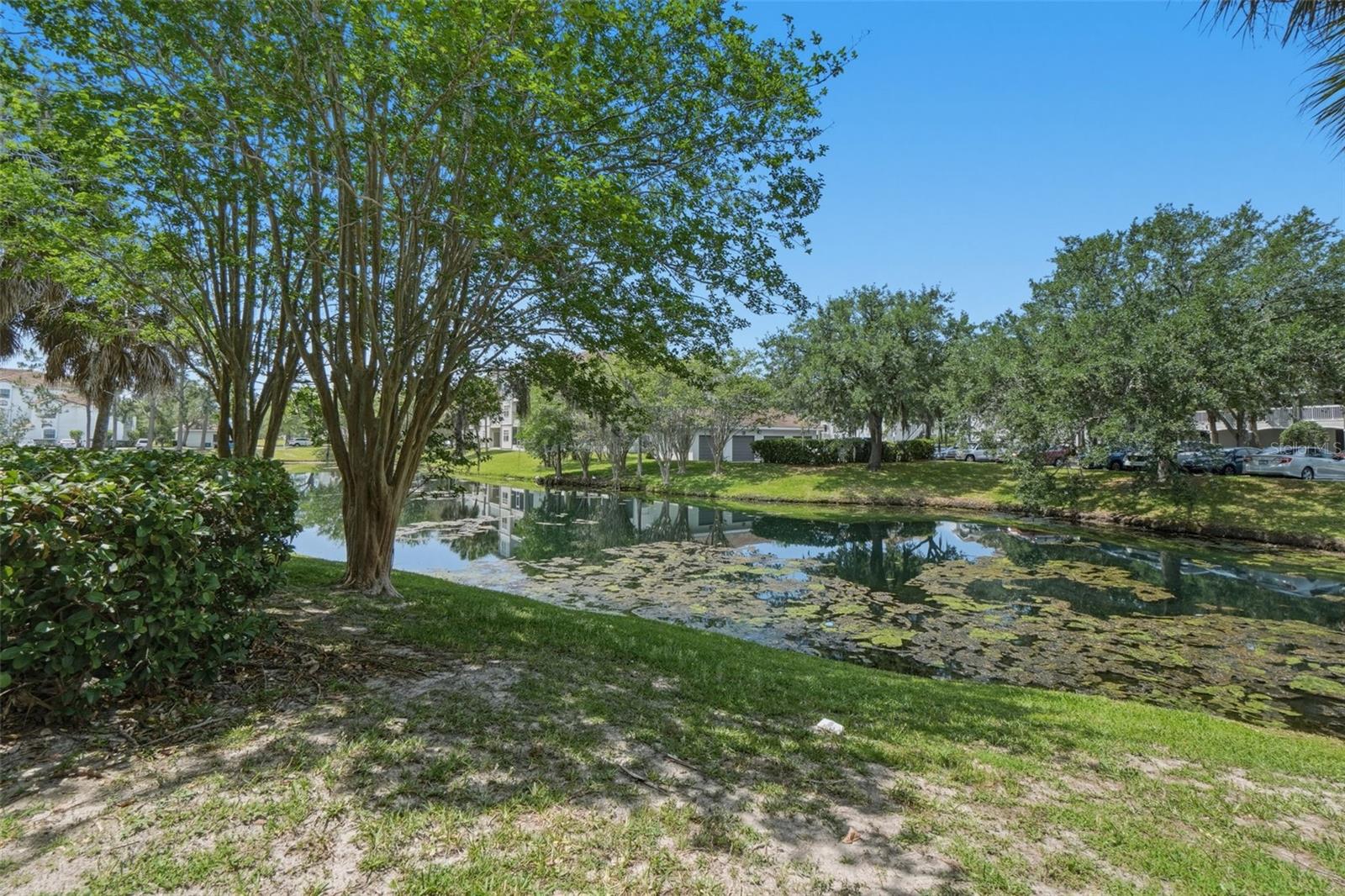 AUDUBON VLS/HUNTERS CRK CONDO - Residential