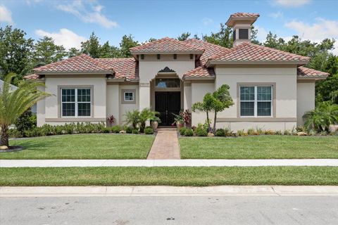 A home in PALM COAST