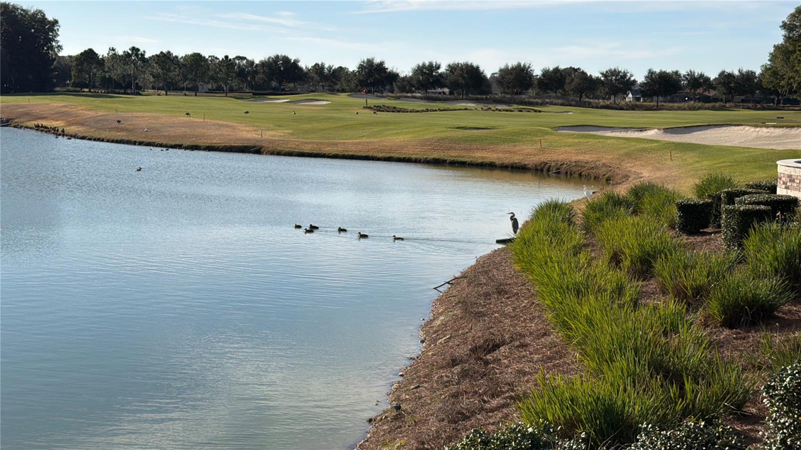 OCALA PRESERVE - Residential
