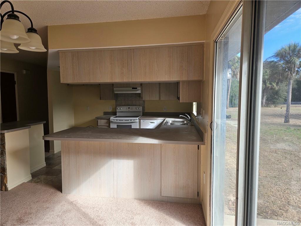 7370 W 7 RIVERS DRIVE