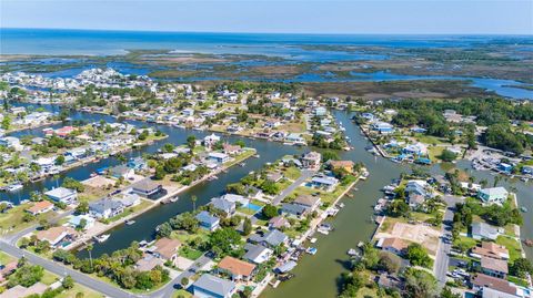 A home in HERNANDO BEACH