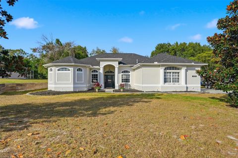 Photo of 12131 Buckingham Way, Spring Hill, FL 34609 (MLS # W7881037)