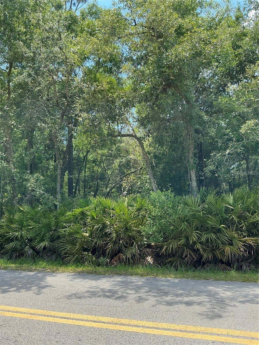 Photo of 118 Terrace, Ocala, FL 34482 (MLS # S5153292)