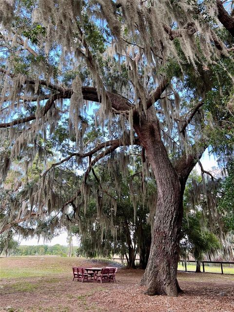 Tiny photo for 10925 Arrowtree Boulevard, Clermont, FL 34715 (MLS # O6400160)